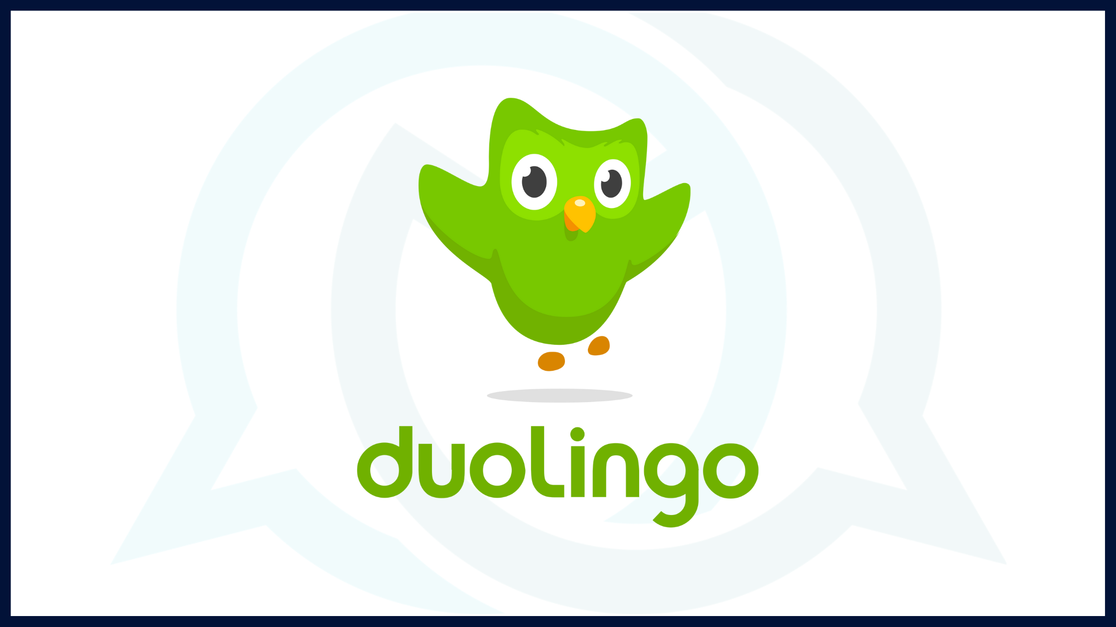 Duolingo Review